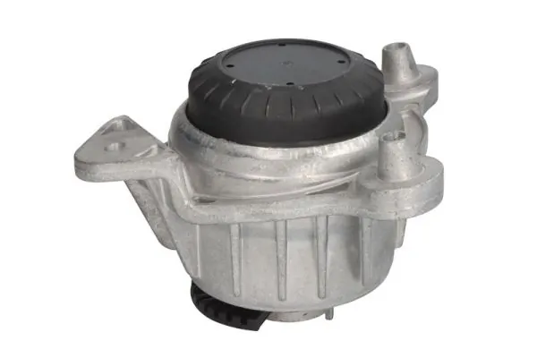 RH113129 Reinhoch Права подушка мотора