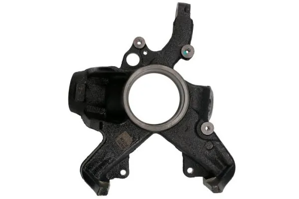 RH080009 Reinhoch Цапфа передня ліва