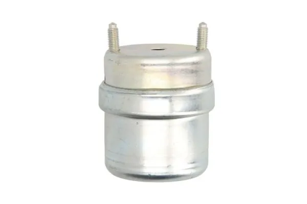 RH110129 Reinhoch Права подушка мотора