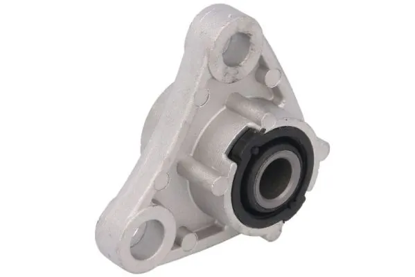 RH114066 Reinhoch 