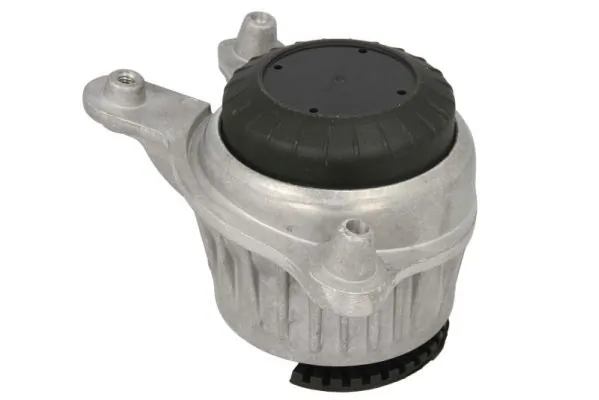 RH113100 Reinhoch Права подушка мотора