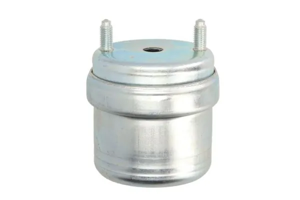RH110054 Reinhoch Права подушка мотора