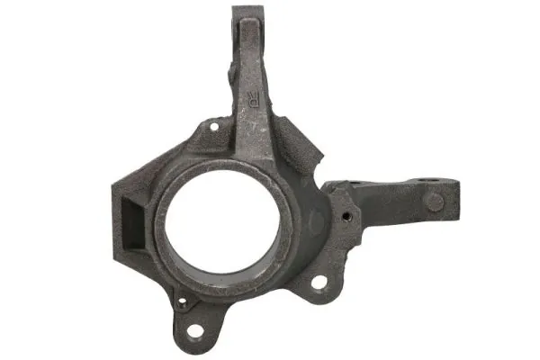 RH082028 Reinhoch Цапфа - поворотний кулак передній, правий