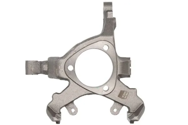 RH085005 Reinhoch Цапфа поворотна ліва
