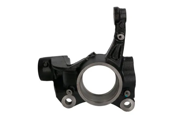 RH080019 Reinhoch Цапфа поворотна ліва