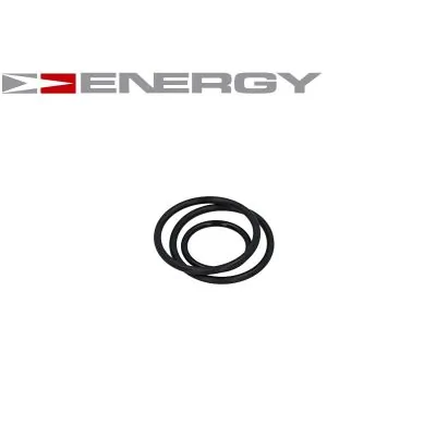 Купити G10029 Energy Елемент-турбінка паливного насосу