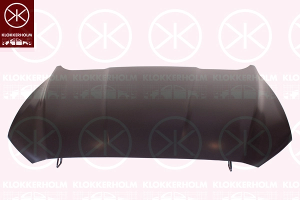 Капот SYFD040G002 Simyi