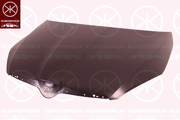Капот Polcar 691603UB ціна, від 125.72 USD