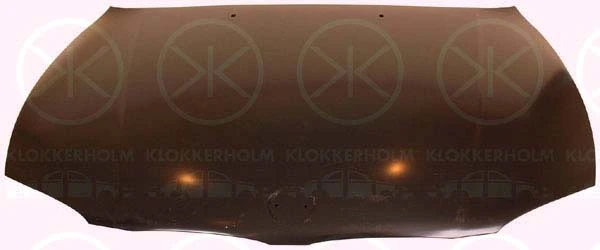 Капот API BM06001500000 ціна, від 202.76 USD