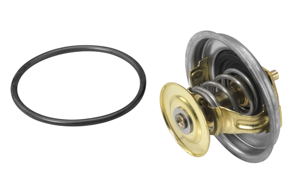 Купити TE0237 Magneti Marelli Термостат в корпусі