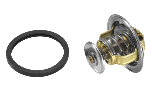 Купити TE0039 Magneti Marelli Термостат в корпусі