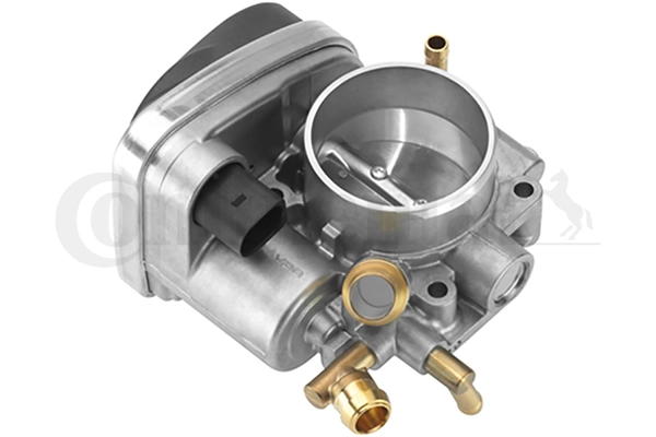 Купити A2C53192017 Continental/Siemens Дросільна заслінка