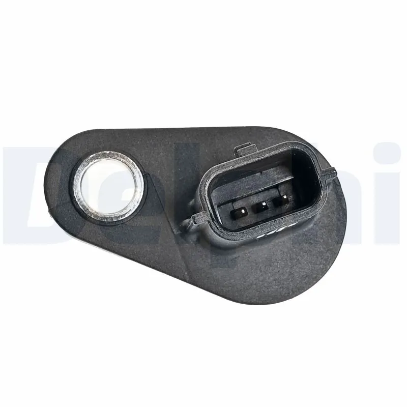 SS1199712B1 Delphi ДПКВ