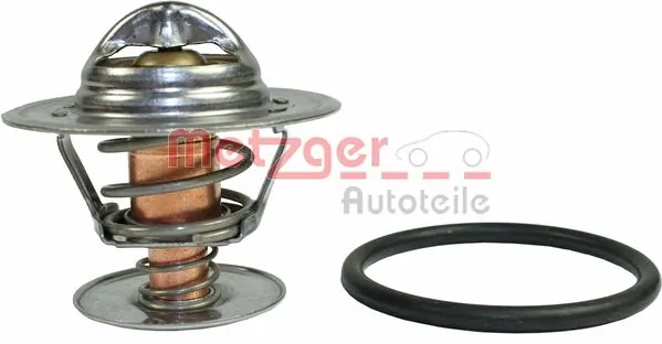 Купити Термостат Renault Laguna I B56, 556