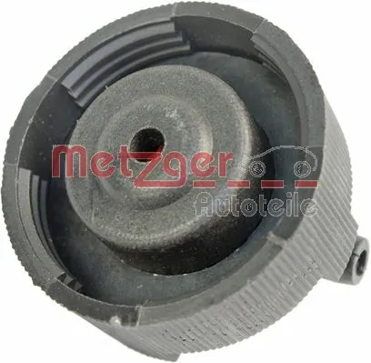 Купити 99437787 Iveco Кришка розширювального бачка