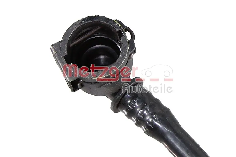 2421552 Metzger 