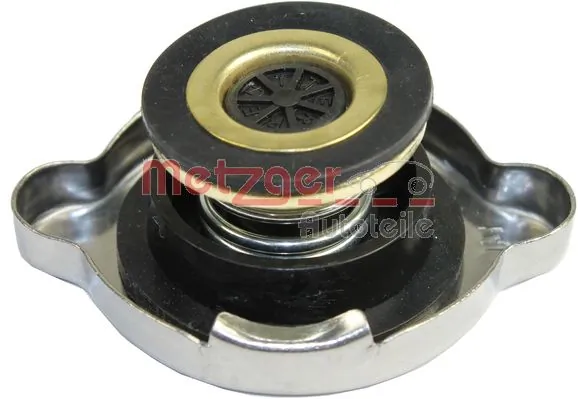 Купити Кришка радіатора Mercedes G  W463