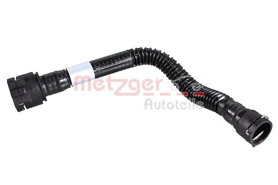 2421796 Metzger 