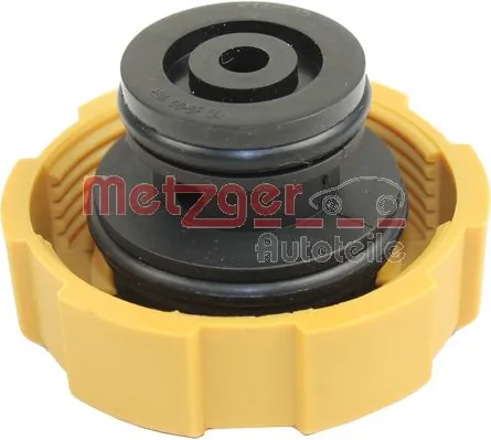 Купити 3132192R1 Case Кришка розширювального бачка