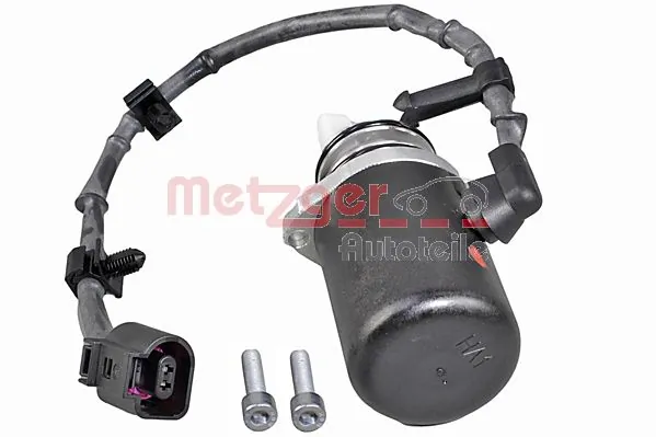 DS118613 Wahler Насос муфти Haldex