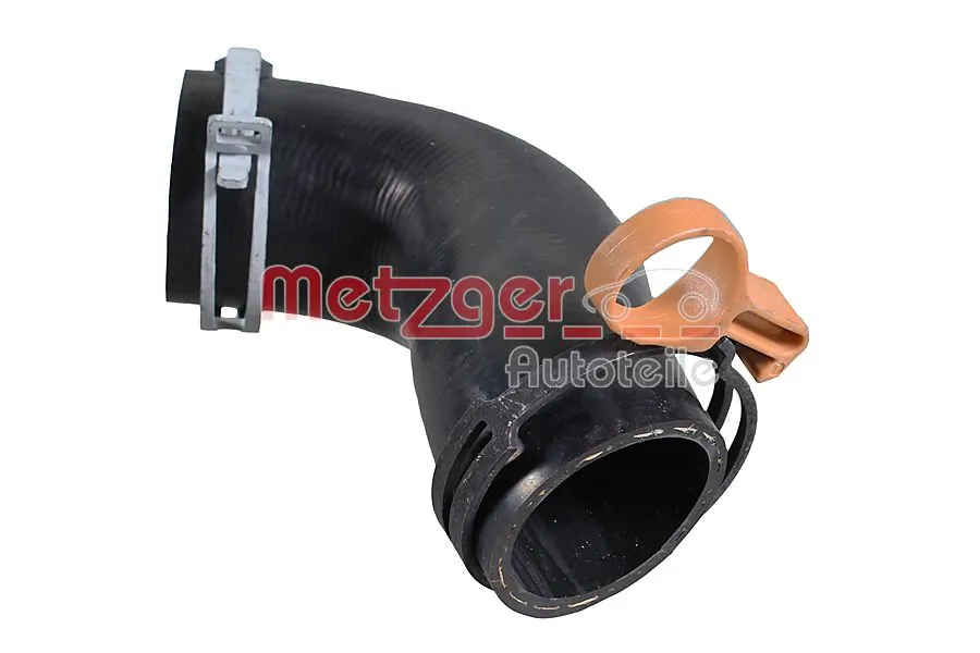 2421677 Metzger 