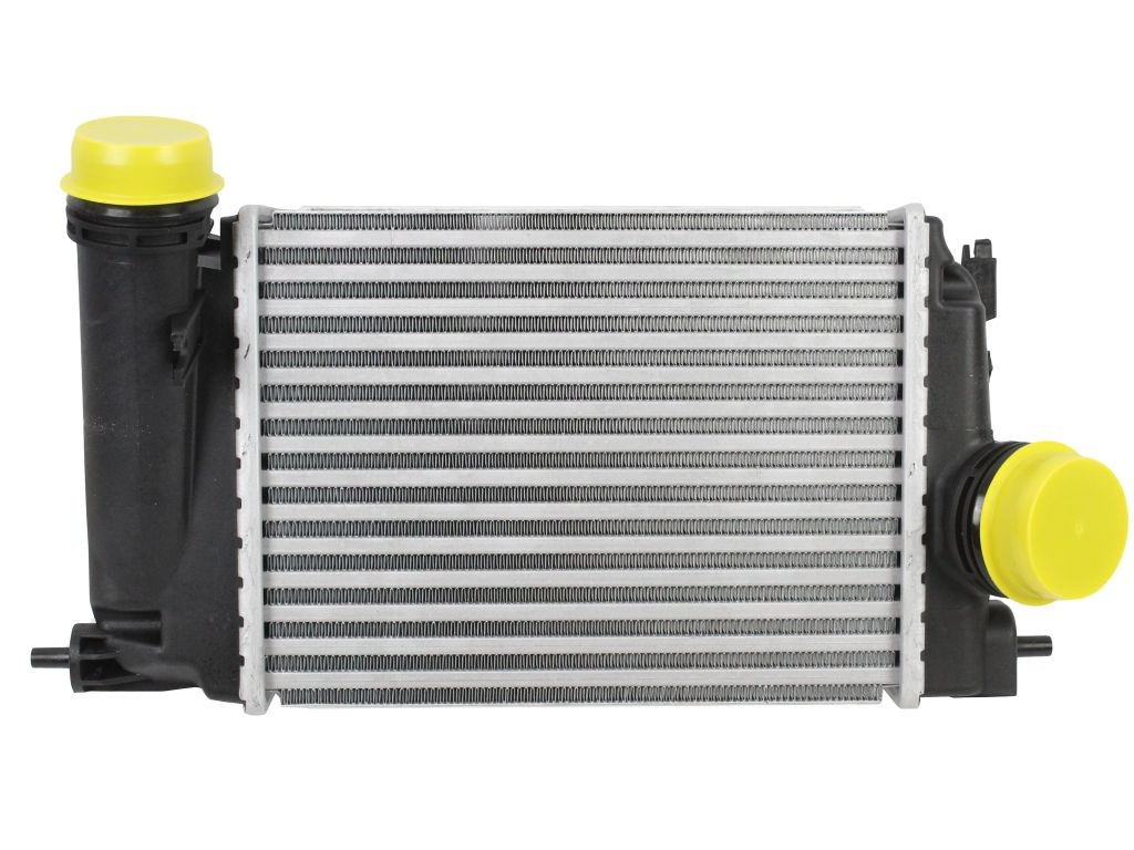 Купити Інтеркулер Renault Megane IV LV