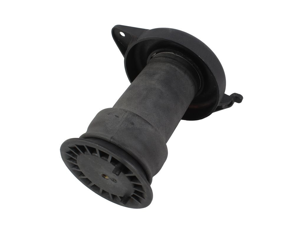 Пневморессора задня Abakus 13102110 ціна, від 135.23 USD