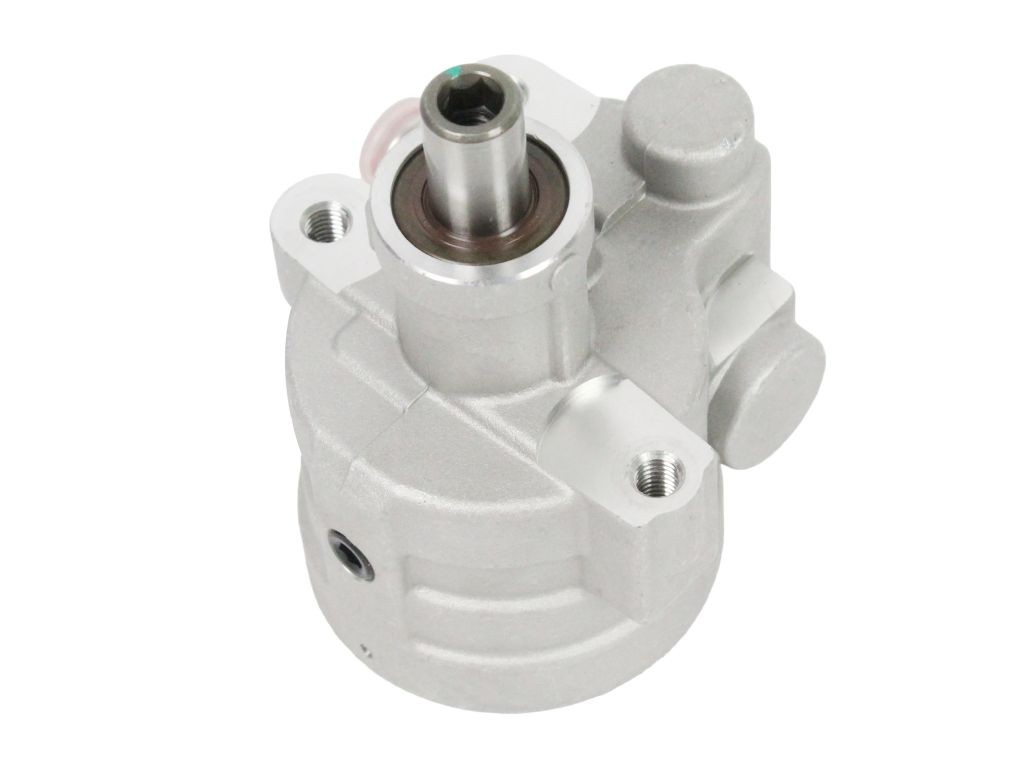 Купити Насос ГУР Renault 19 II B53, C53