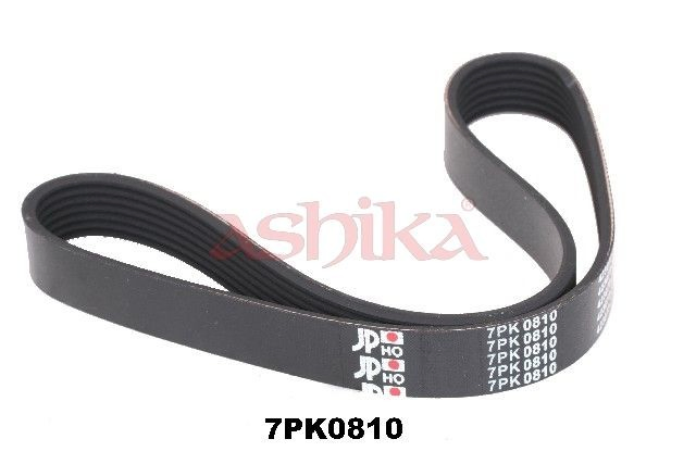 1127PK810 Ashika Поліклиновий ремінь