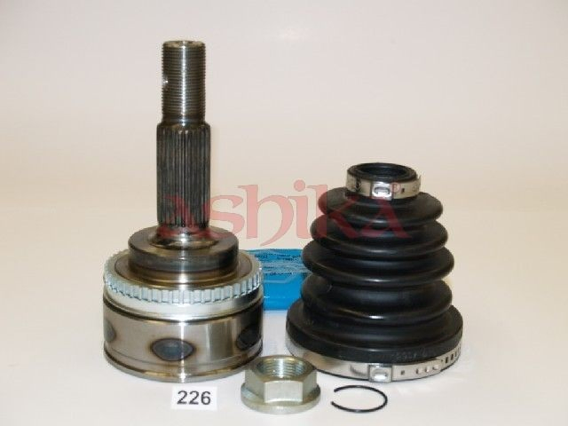 6202226 Ashika Граната зовнішня