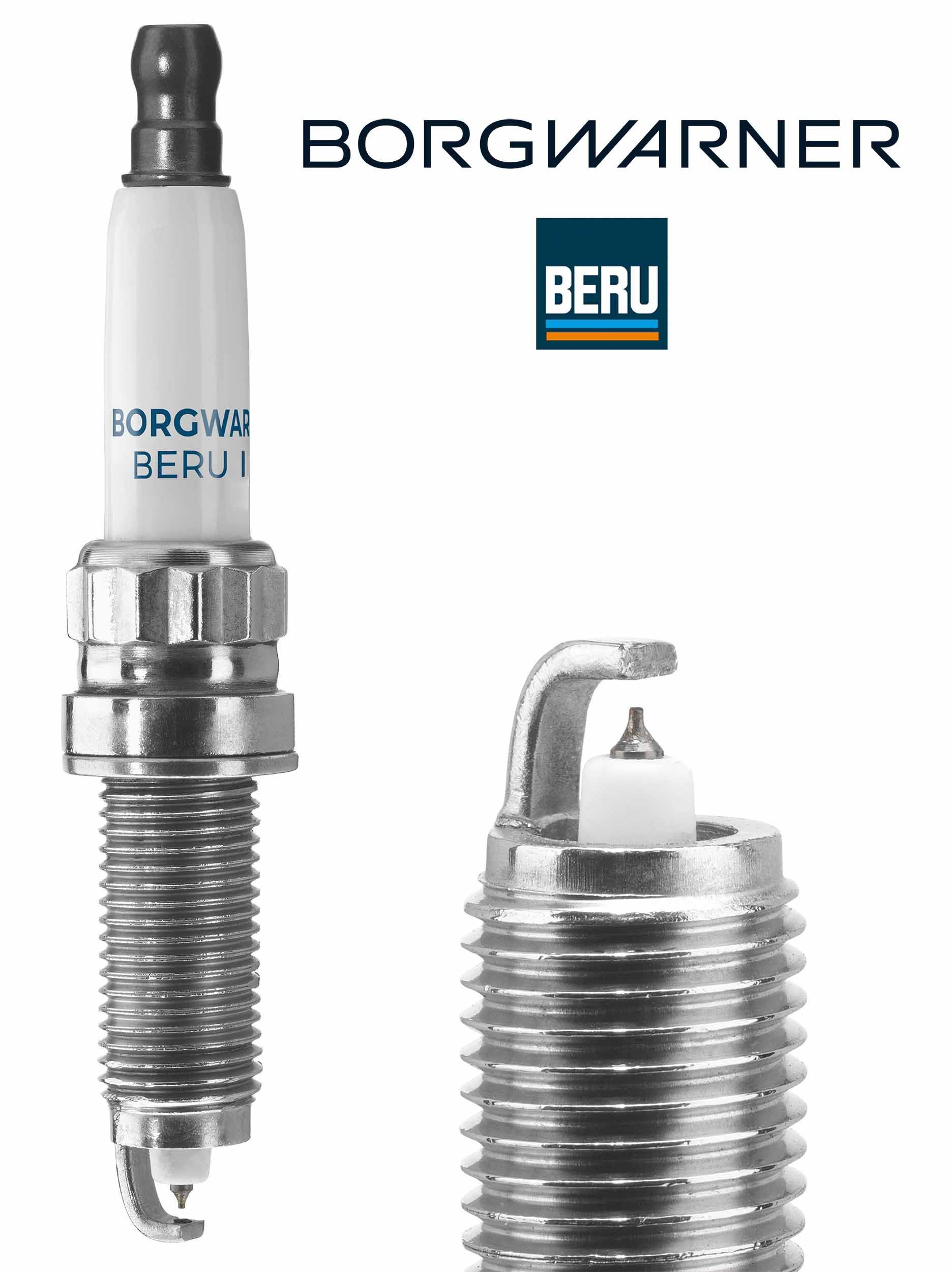 Z529 Beru 