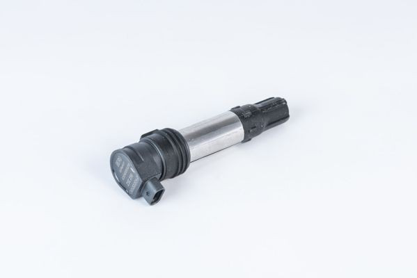 ZSE256 Beru Котушка запалювання