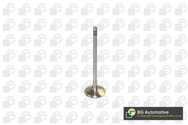 Клапана і штовхачі Gieffe 3404SCR