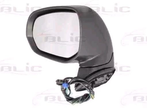 Купити Ліве бокове дзеркало Citroen C4 GRAND PICASSO I UA