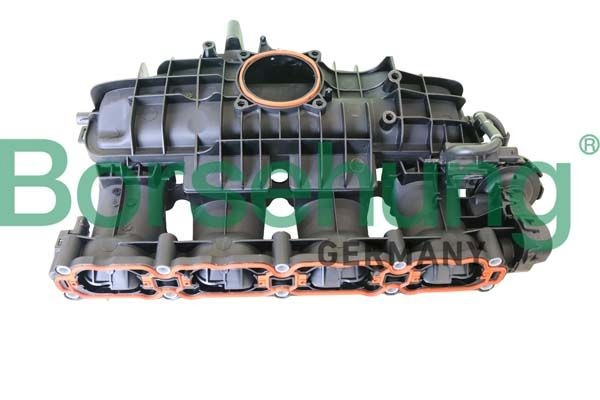 B10664 Borsehung Колектор впускний