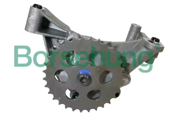 B12689 Borsehung Масляний насос двигуна