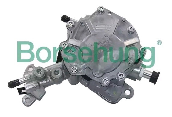 B14919 Borsehung Тандемний насос