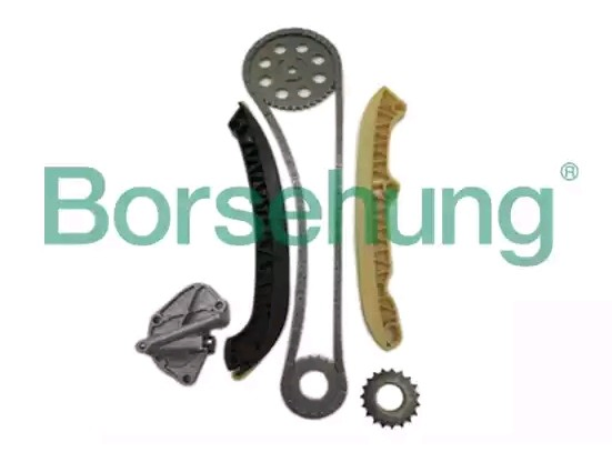 B16294 Borsehung Ланцюг ГРМ, комплект
