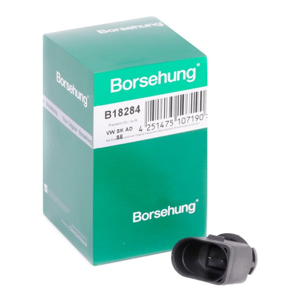 Датчик температури навколишнього середовища B18284 Borsehung