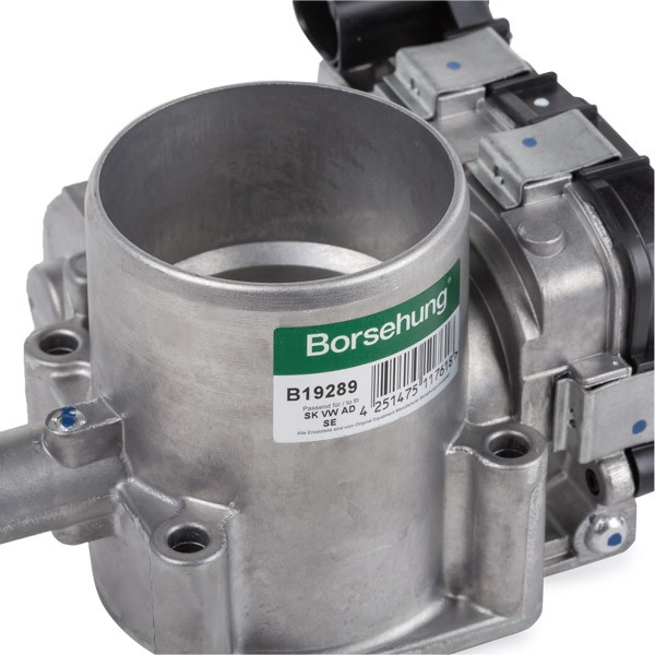 Заслінка повітряна Borsehung B19289