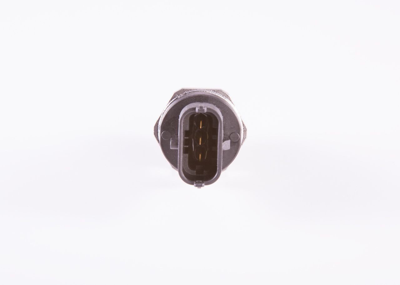 0281006165 Bosch Манометри