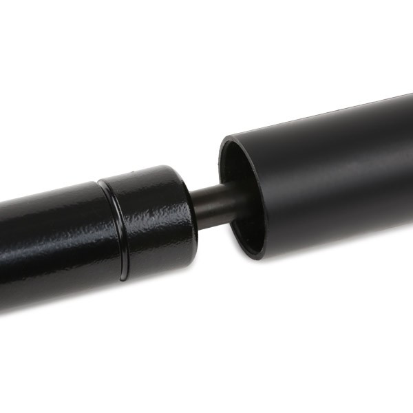1467032010 Bosch Демпфер (амортизатор) ПНВТ