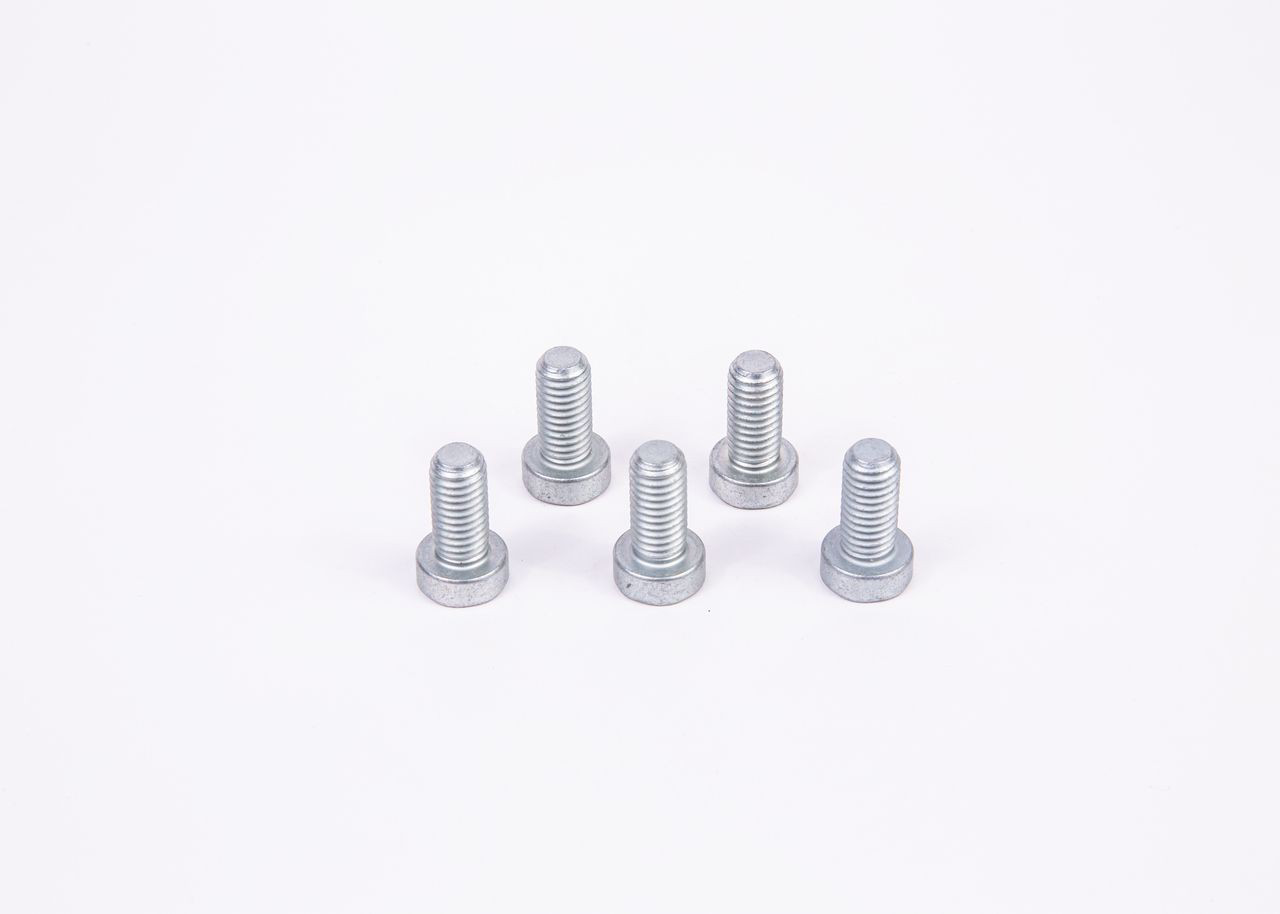 F01M100684 Bosch Болт шестерні ПНВТ