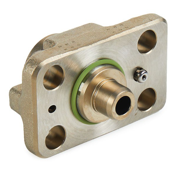 F01M100869 Bosch Плунжерная пара