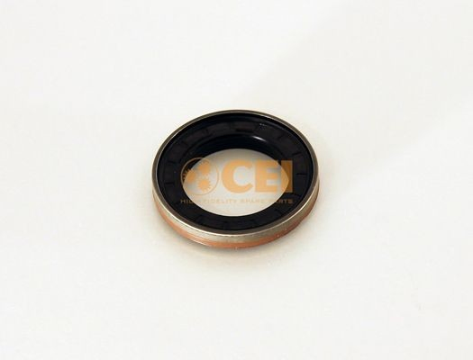 Купити 40100453 Iveco Сальник хвостовика