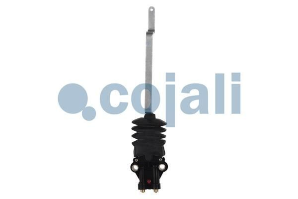 Кран рівня підлоги (TRUCK) Renault (RVI) 5010424865