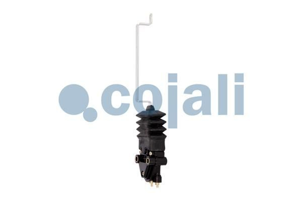 Купити 7420746483 Renault (RVI) 