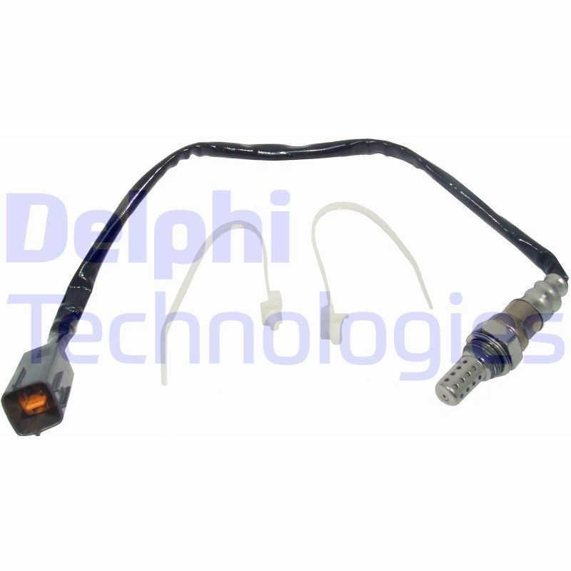 ES2006812B1 Delphi 
