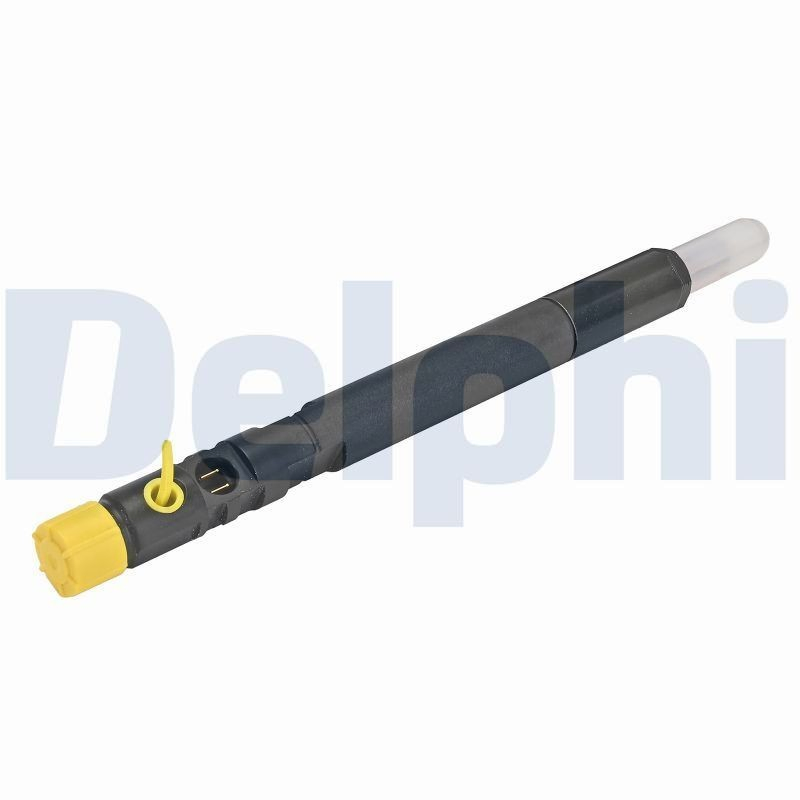 R04201D12B1 Delphi 
