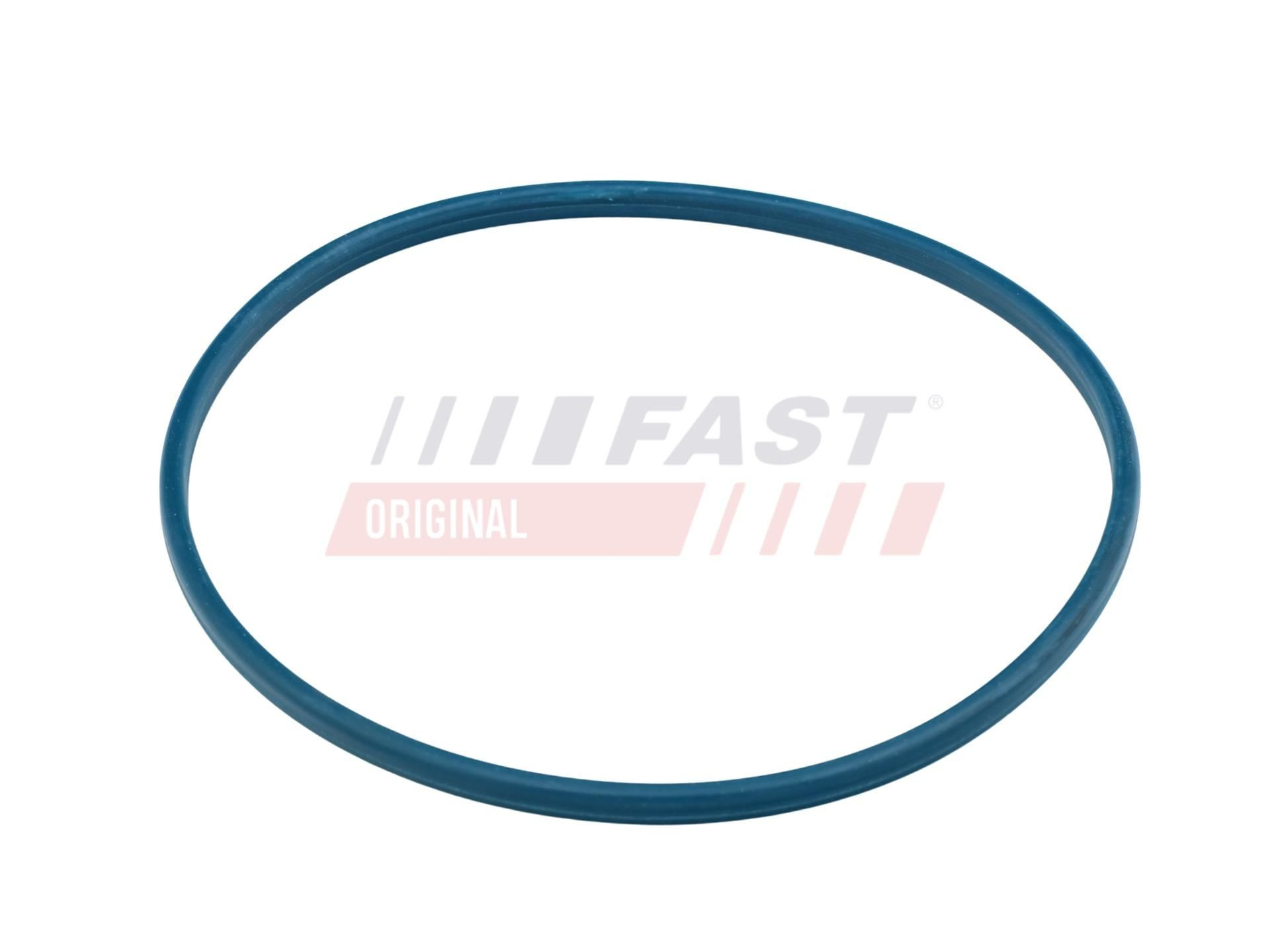 FT48504 Fast Ущільнювач паливного насоса
